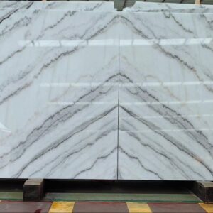 INDIAN CORAL WHITE MARBLE SLAB