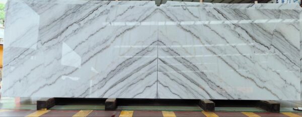 INDIAN CORAL WHITE MARBLE SLAB