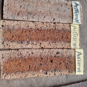 ORIGINAL SOUTH AFRICAN BRICKS FOR INTERIOR AND EXTERIOR WALL CLADDING